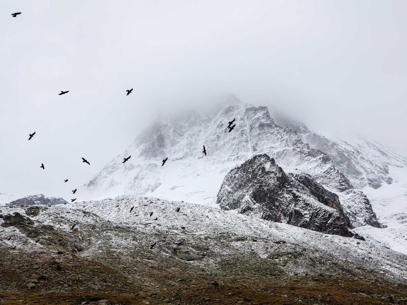 sudoku brain exercise screenshot 1